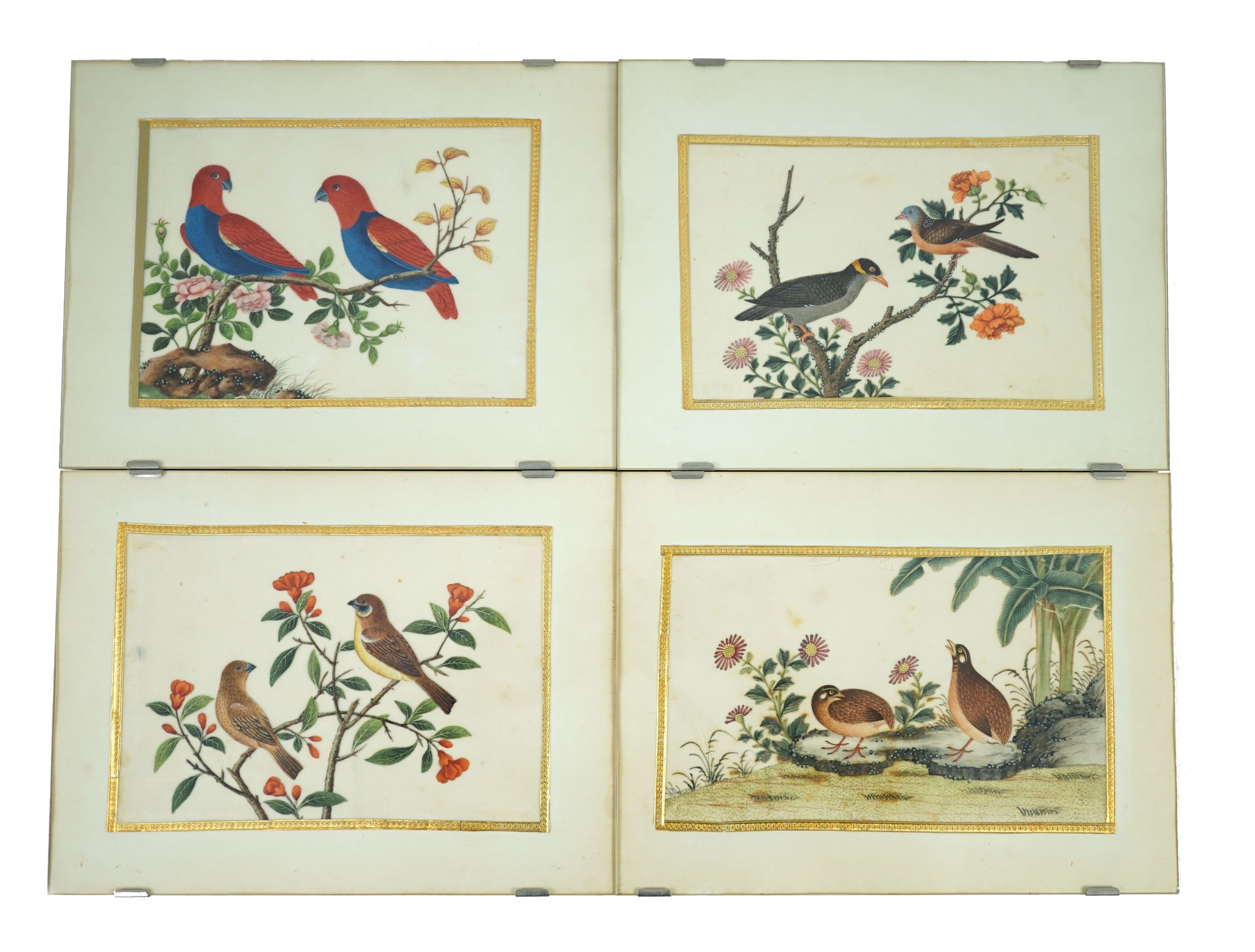 A set of 16 Chinese pith paintings of birds and flowers, mid 19th century, Largest Image 12cm x 18cm